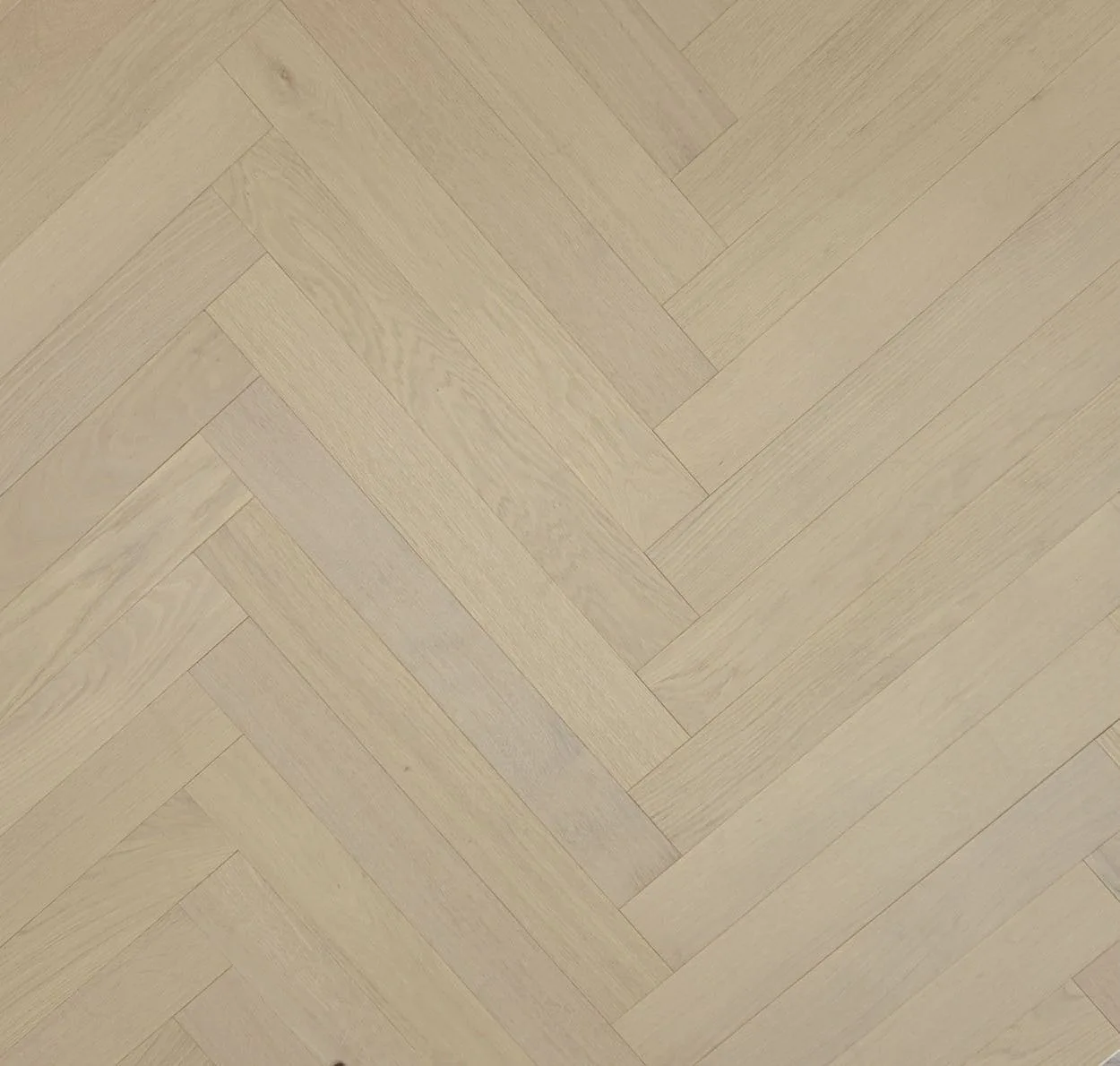 main sample image of Turin Herringbone Oak Turin Herringbone
