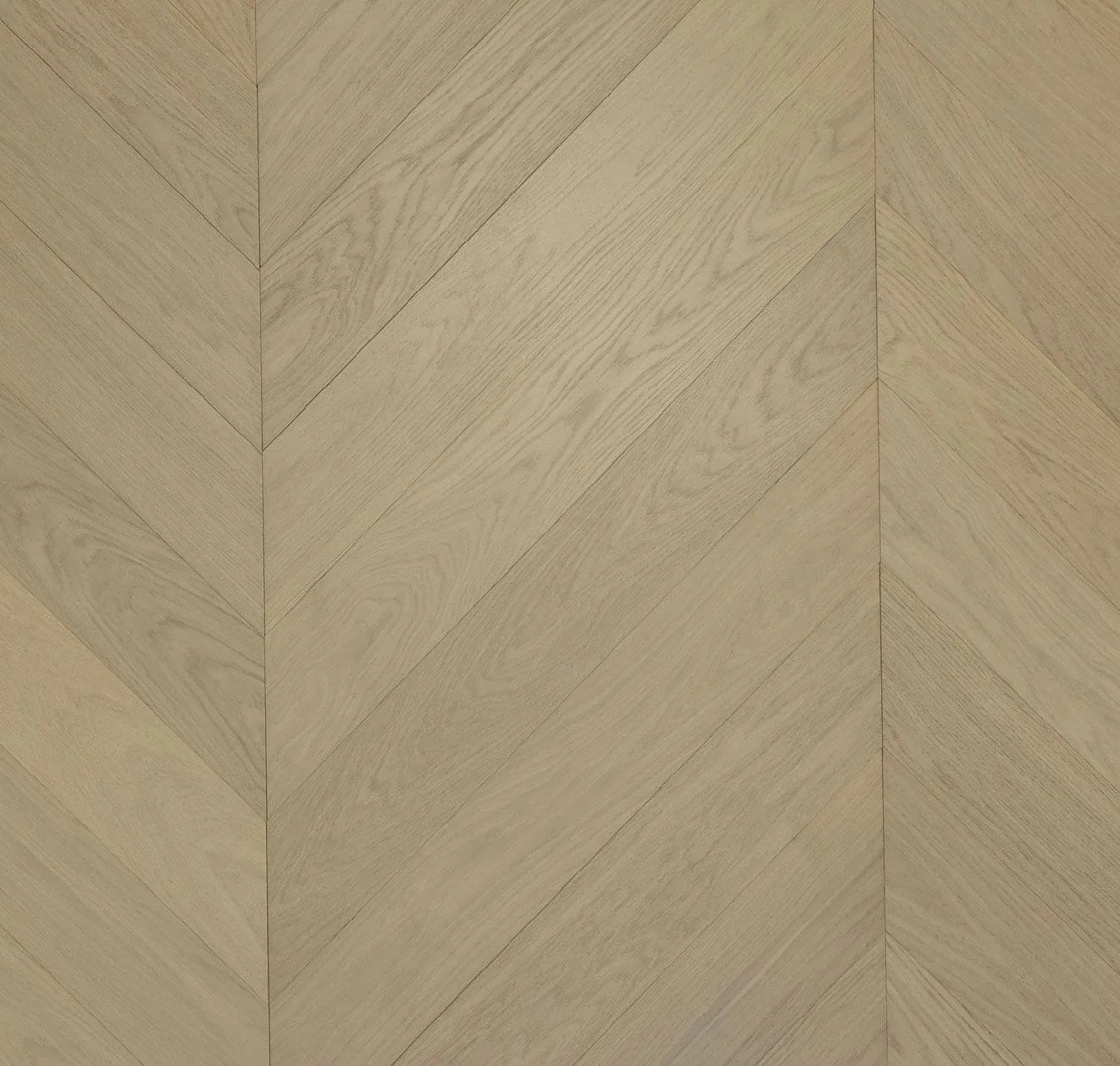 main sample image of Turin Chevron Oak Turin Chevron