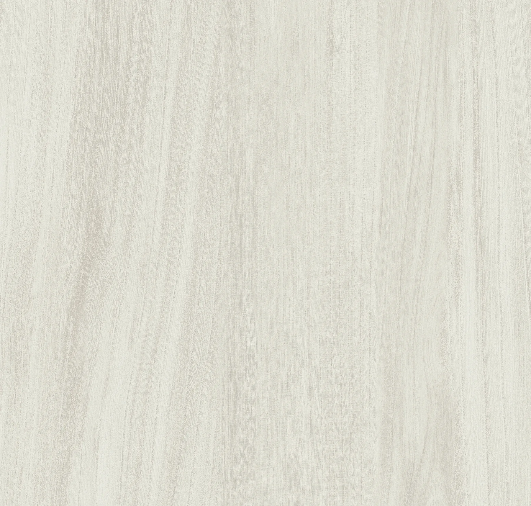 main sample image of White Brookfield Elm