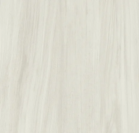 main sample image of White Brookfield Elm