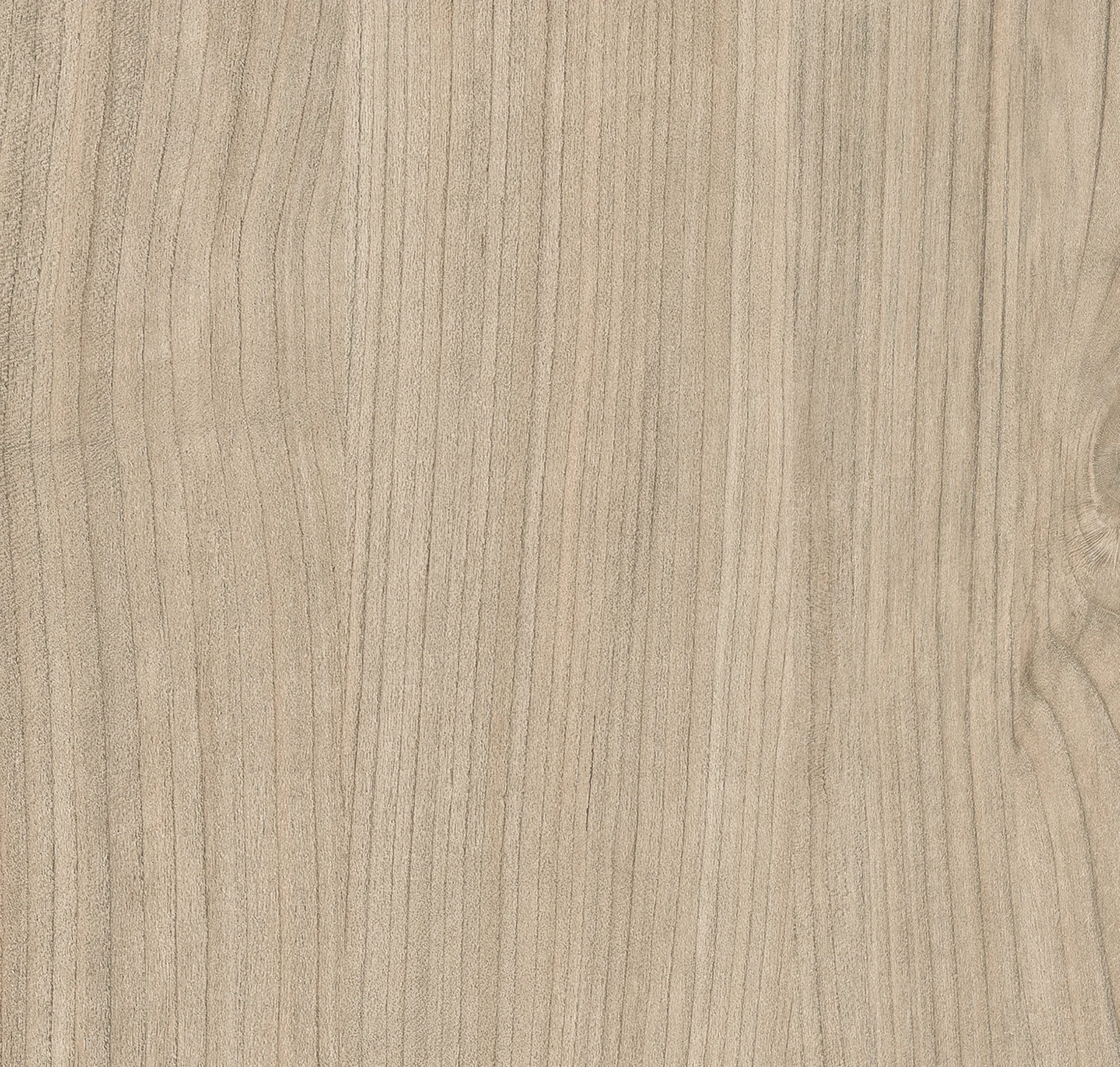 main sample image of Neutral Granville Cherry