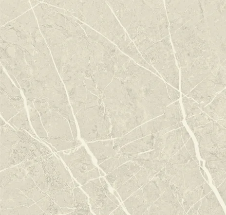 main sample image of Grey Pietra Viva