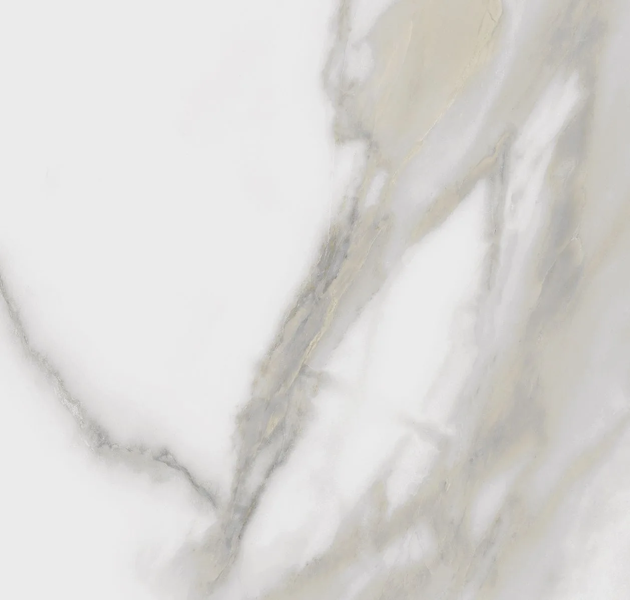 main sample image of White Borghini Marble