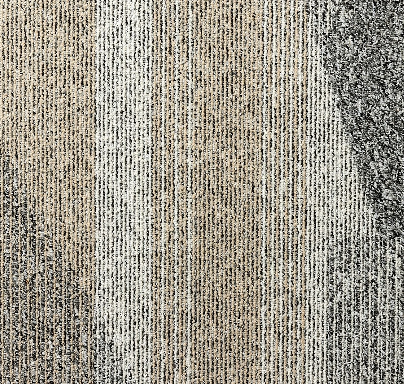 main sample image of Brindle Between The Lines