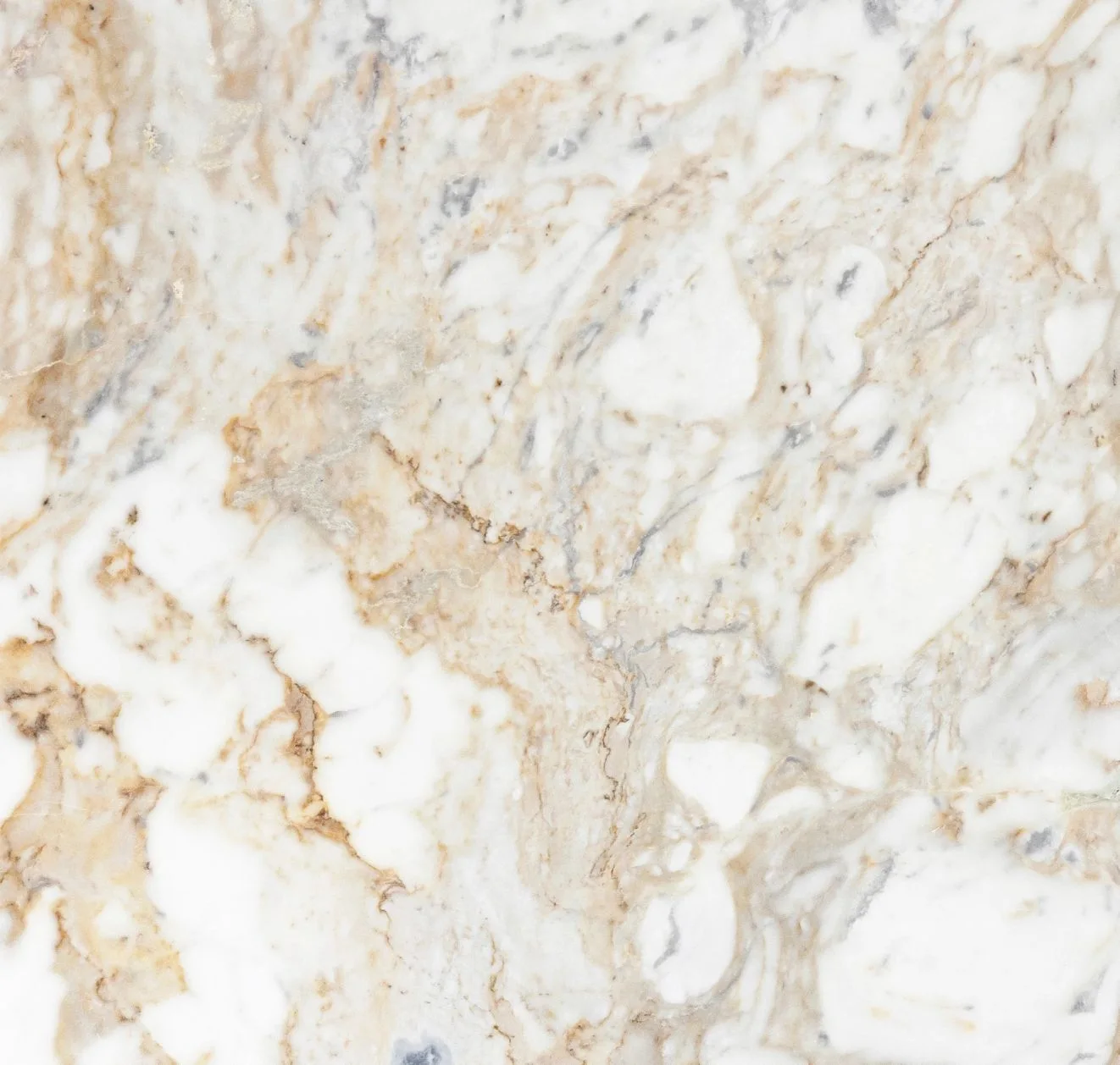 main sample image of White Arabescato D'oro Marble Tile