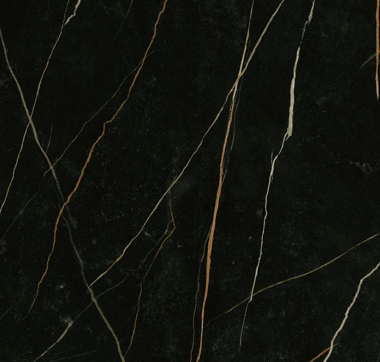 main sample image of Black Sahara Noir