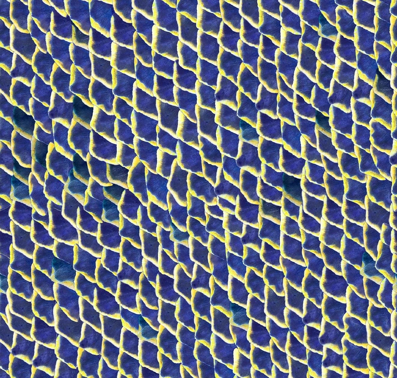 Fish Skin Pattern Blue Fish Skin | DesignShop