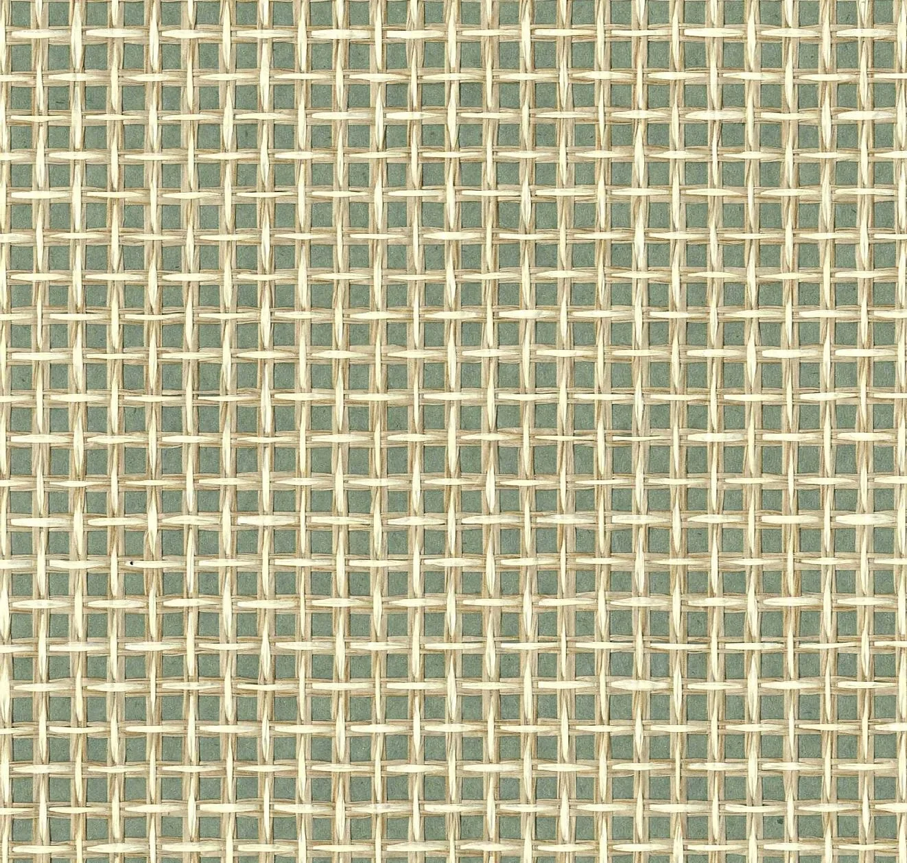 main sample image of Mint Campos