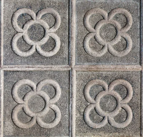 main sample image of Gray Clover