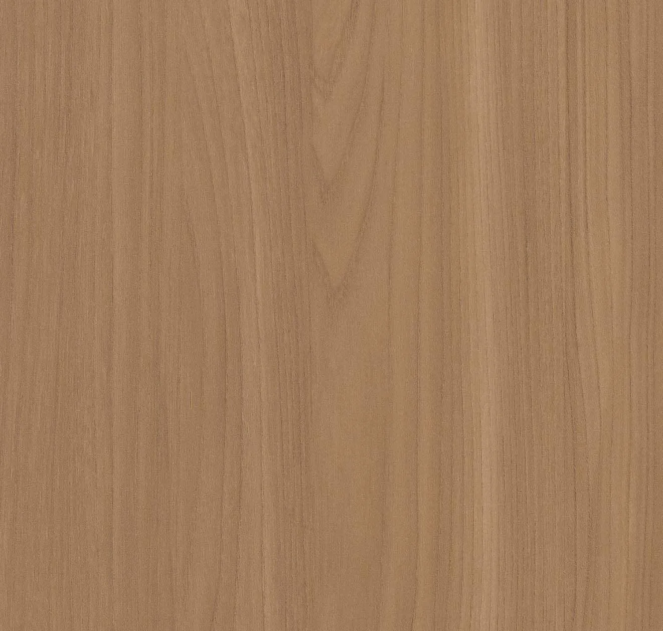 main sample image of Brown Beige Elm