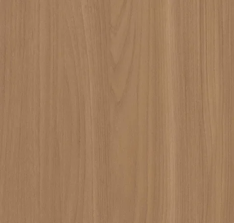 main sample image of Brown Beige Elm