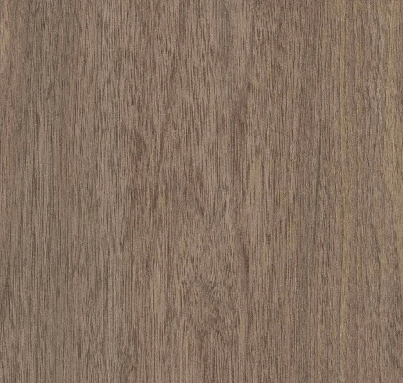 main sample image of Brown Hazel Walnut
