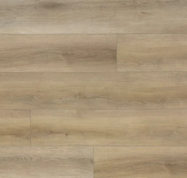 SolidTech