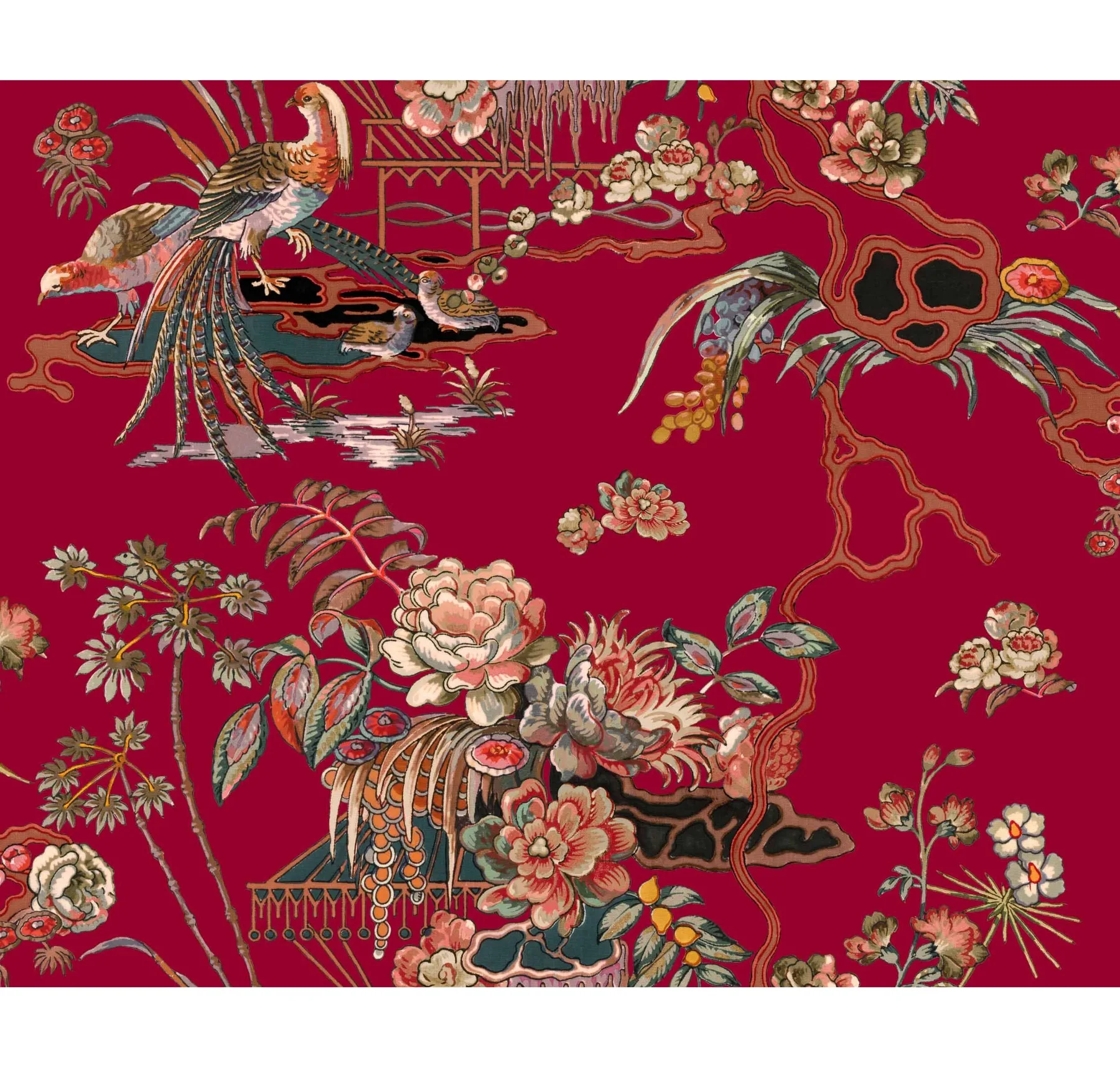 main sample image of Ruby Sacred Pheasants