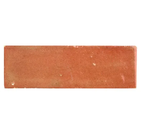 main sample image of Coral Zellige