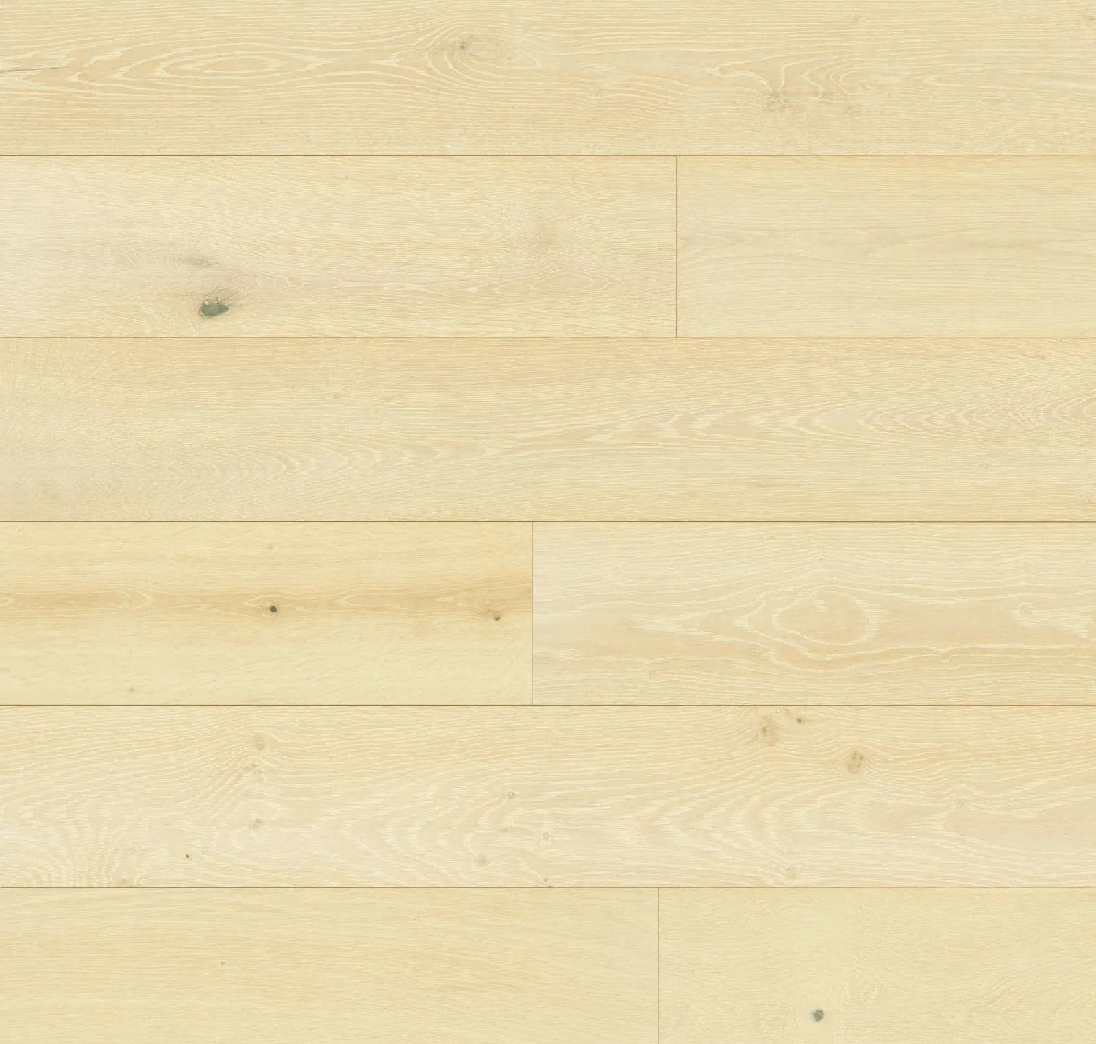 main sample image of Shell Newport