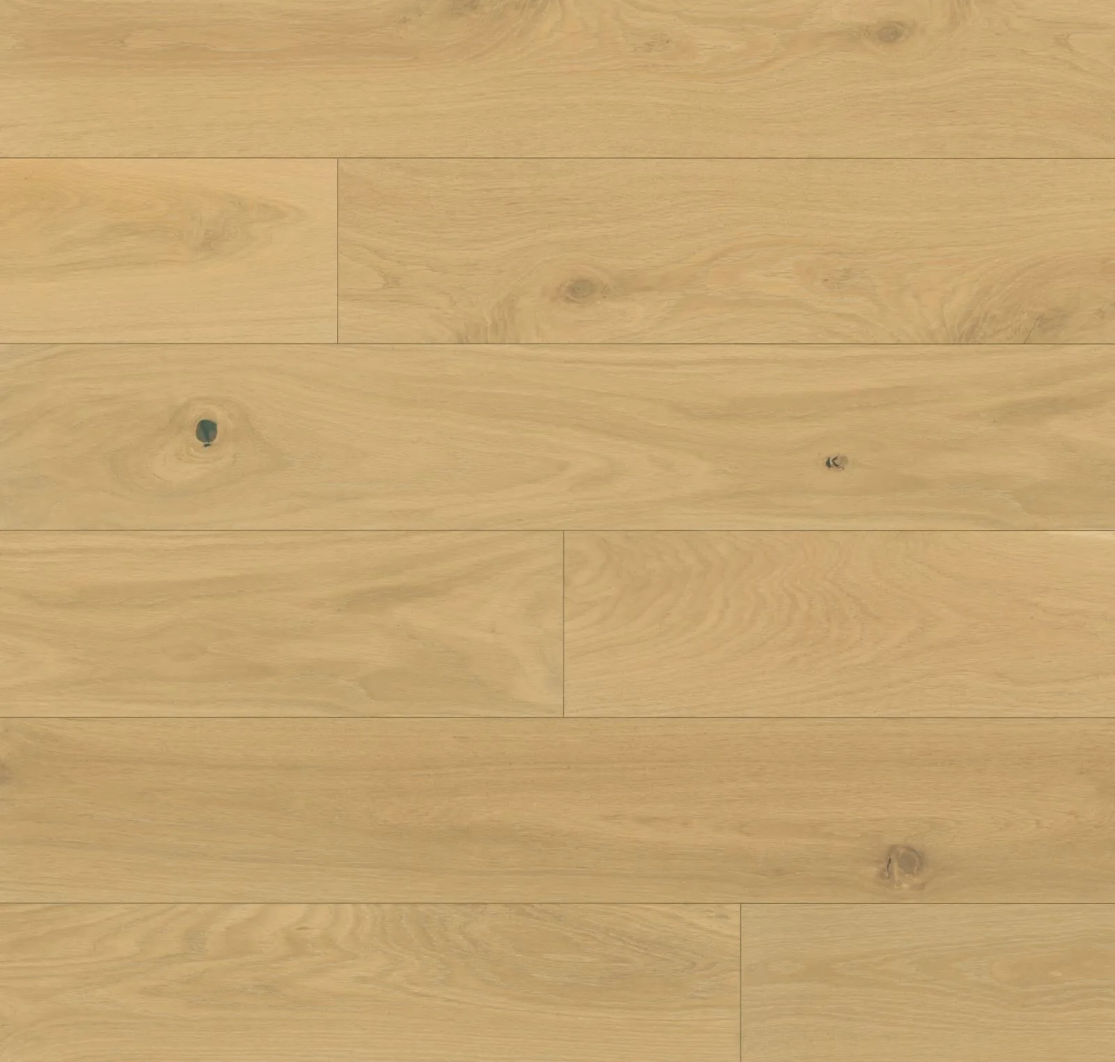 main sample image of Beach Newport