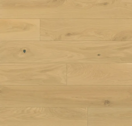 main sample image of Beach Newport