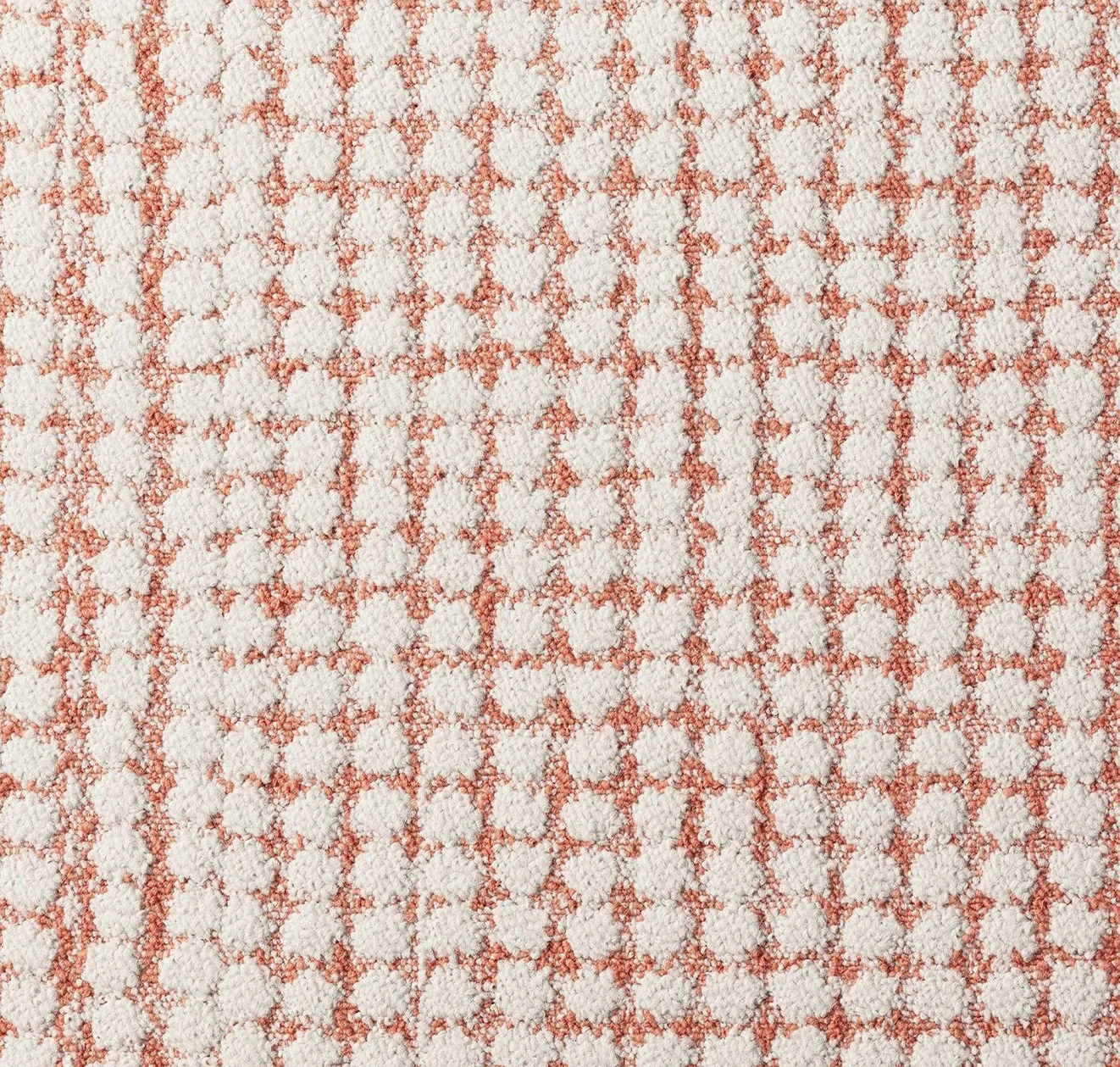 main sample image of Coral Penny For Your Thoughts