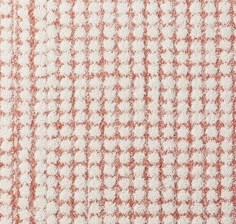 main sample image of Coral Penny For Your Thoughts