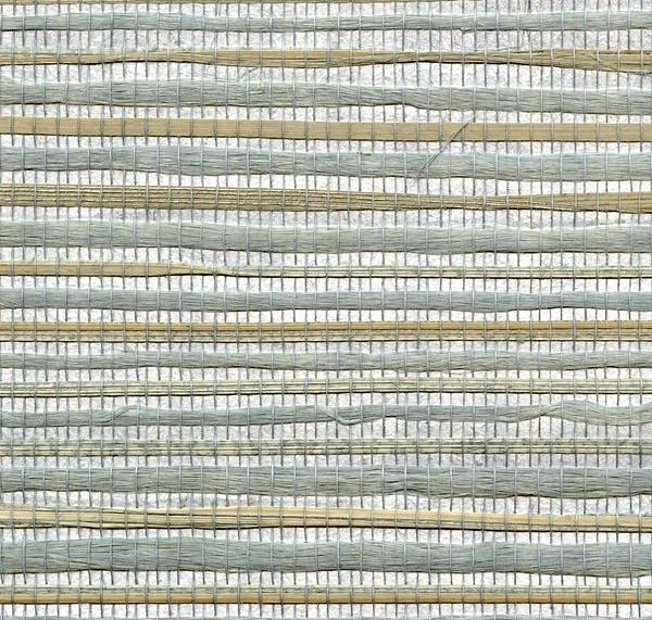 main sample image of Forest Lang