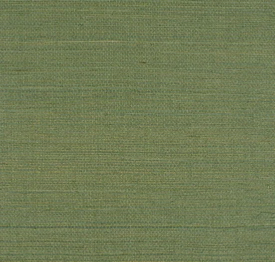 main sample image of Forest Mist Warren