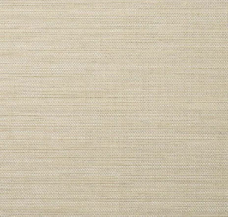 main sample image of Birch Tomaso