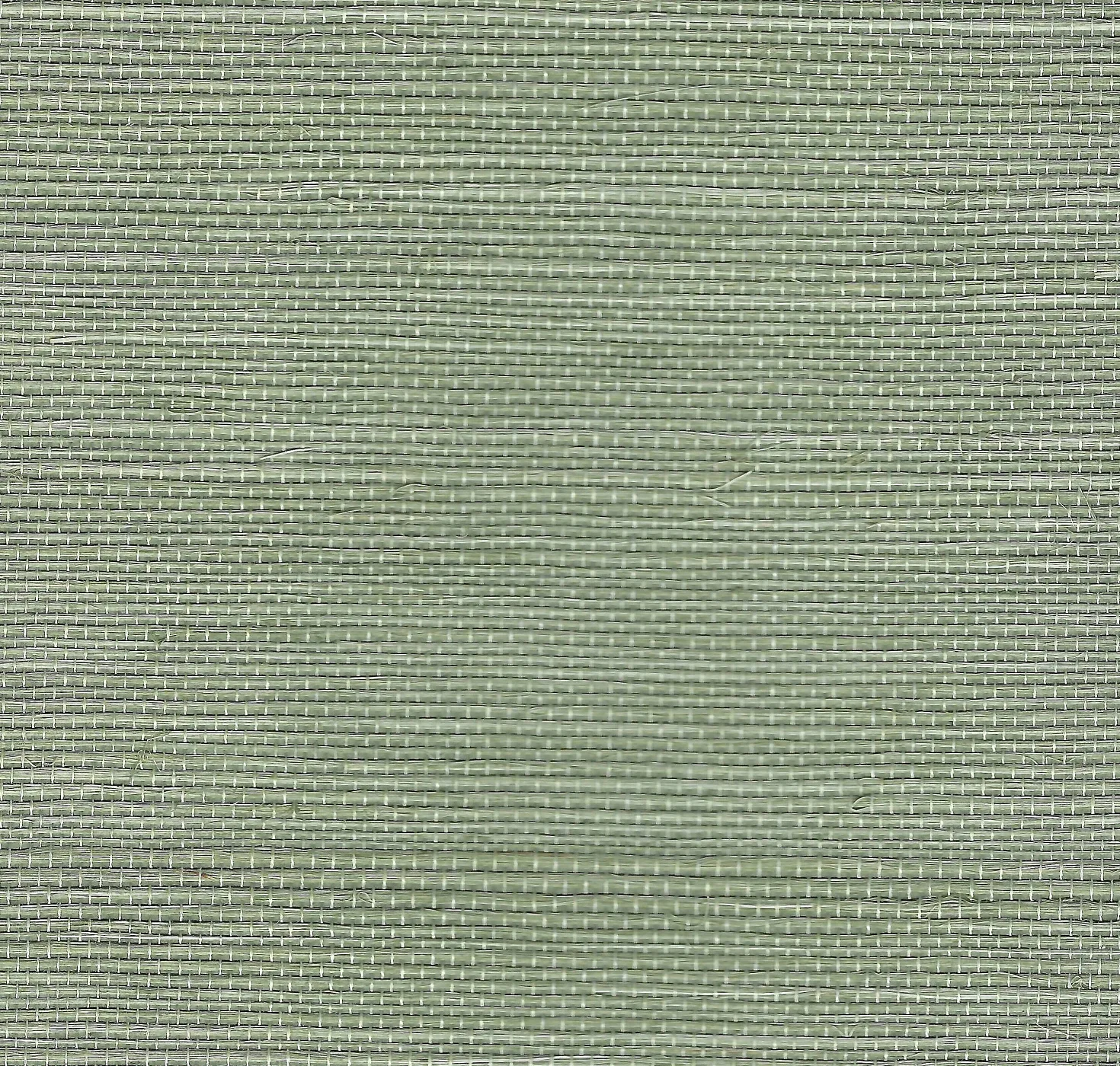main sample image of Verdant Green Orsina Sisal