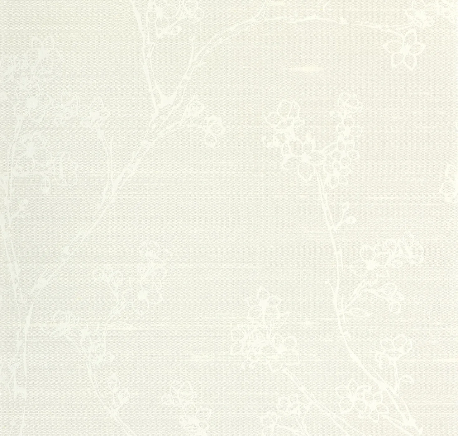 main sample image of Coconut Miriam
