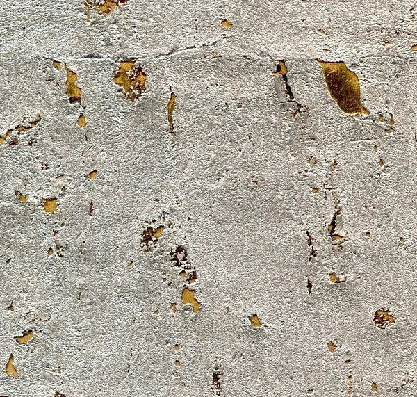 main sample image of Aged Metal Cadet