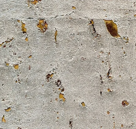 main sample image of Aged Metal Cadet