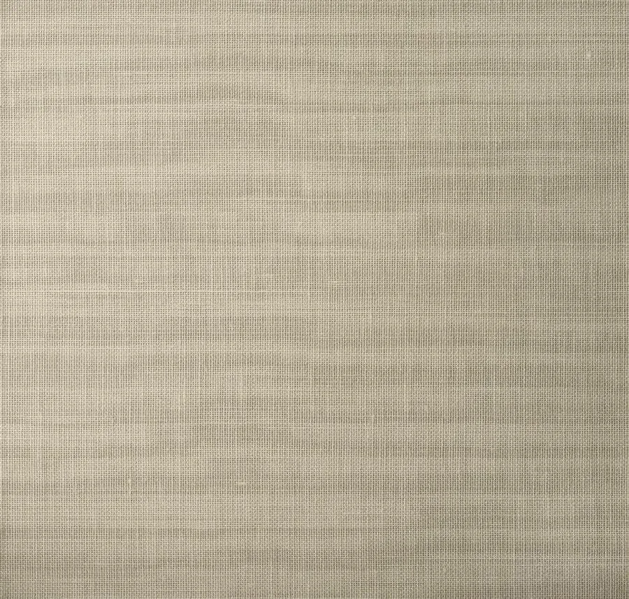 main sample image of Acorn Mayako