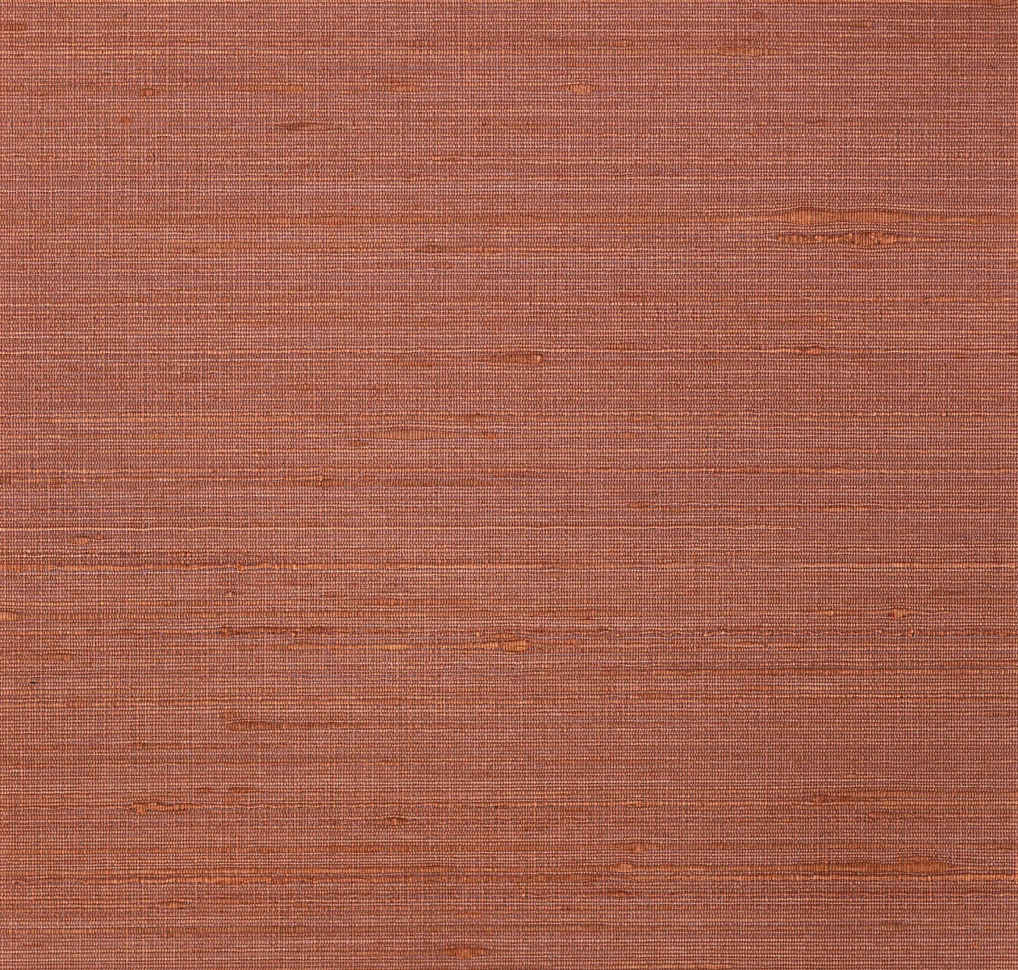 main sample image of Terra Corelli