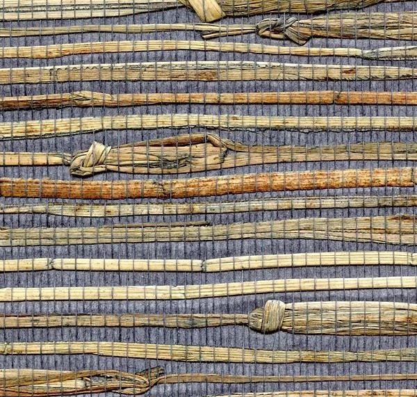 main sample image of Indigo Avery