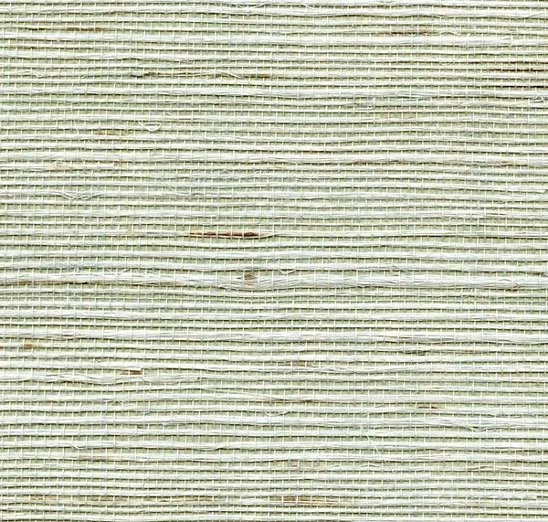 main sample image of Spruce Ashwell