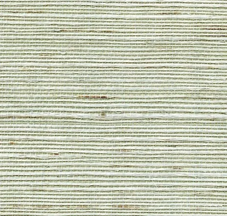 main sample image of Spruce Ashwell