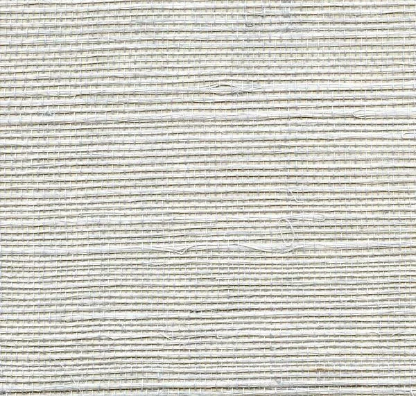 main sample image of Jade Ashwell