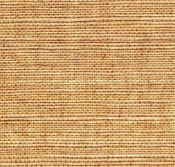 main sample image of Tawn Ashwell