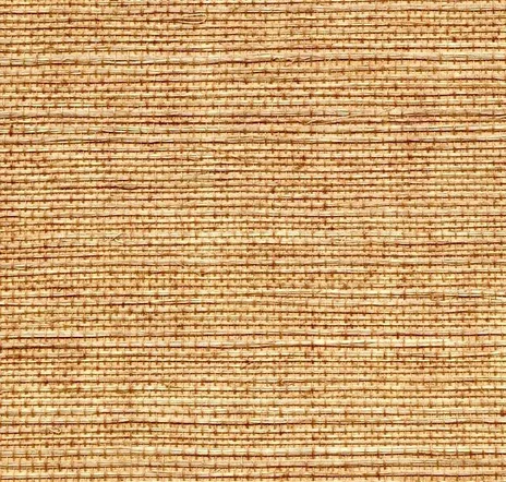 main sample image of Tawn Ashwell