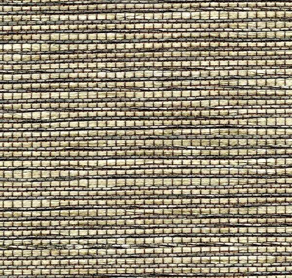 main sample image of Dusk Levant Palm