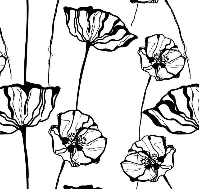main sample image of Black + White Poppy Sketch