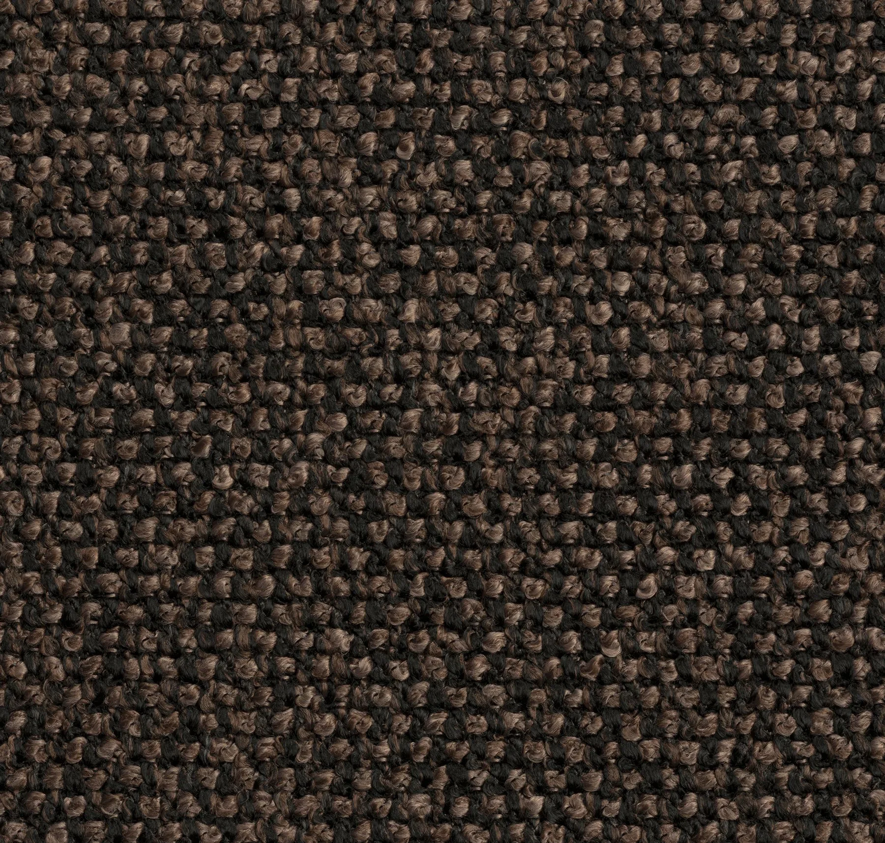 main sample image of Black Truffle Ostuni