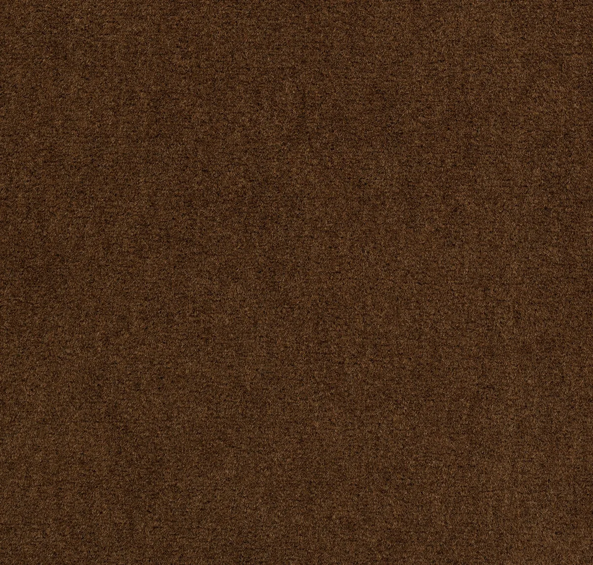 Alpaca Velvet