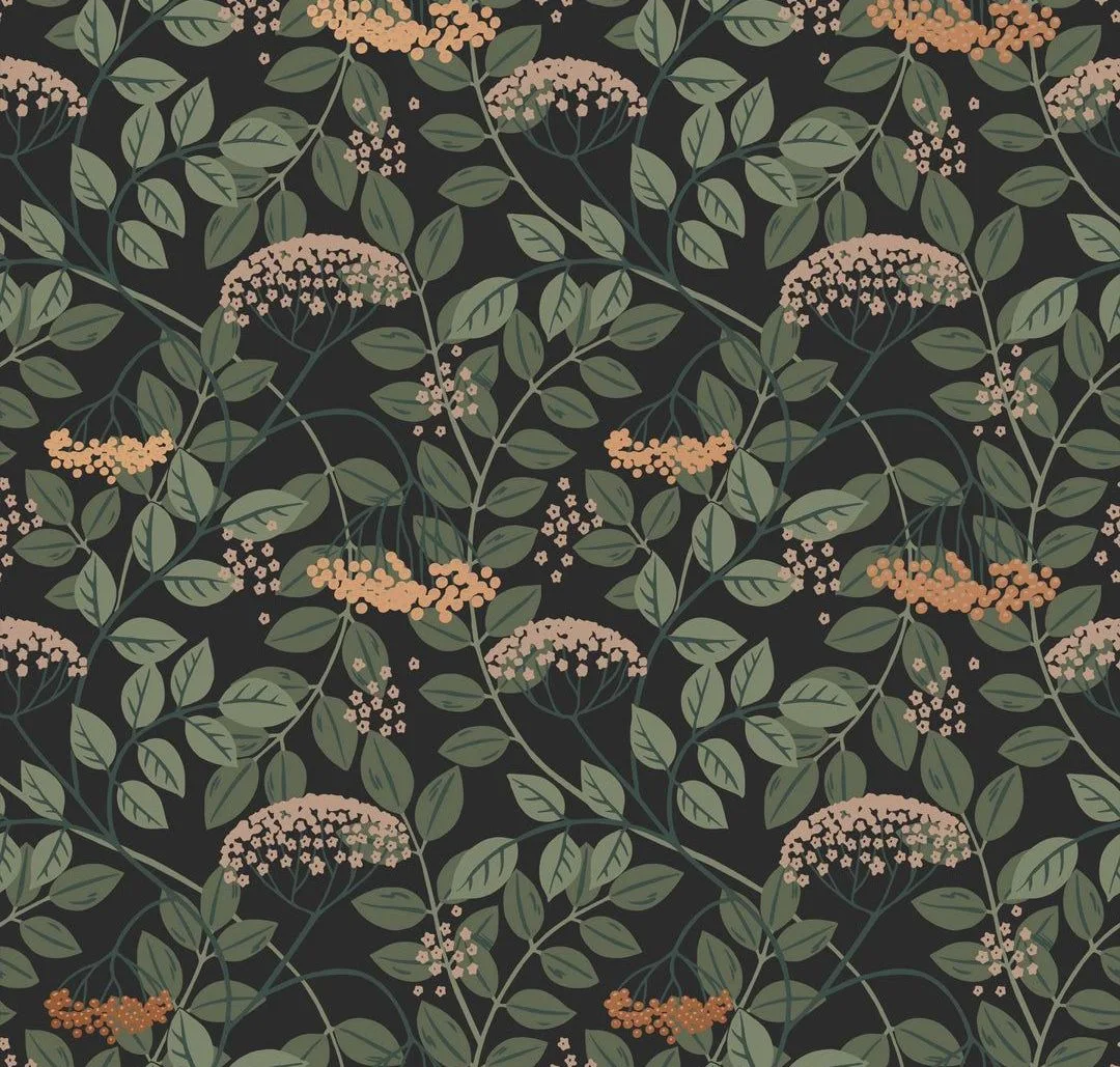 main sample image of Ebony Elder