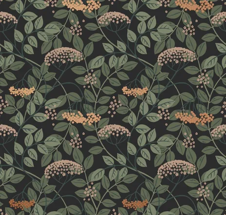 main sample image of Ebony Elder