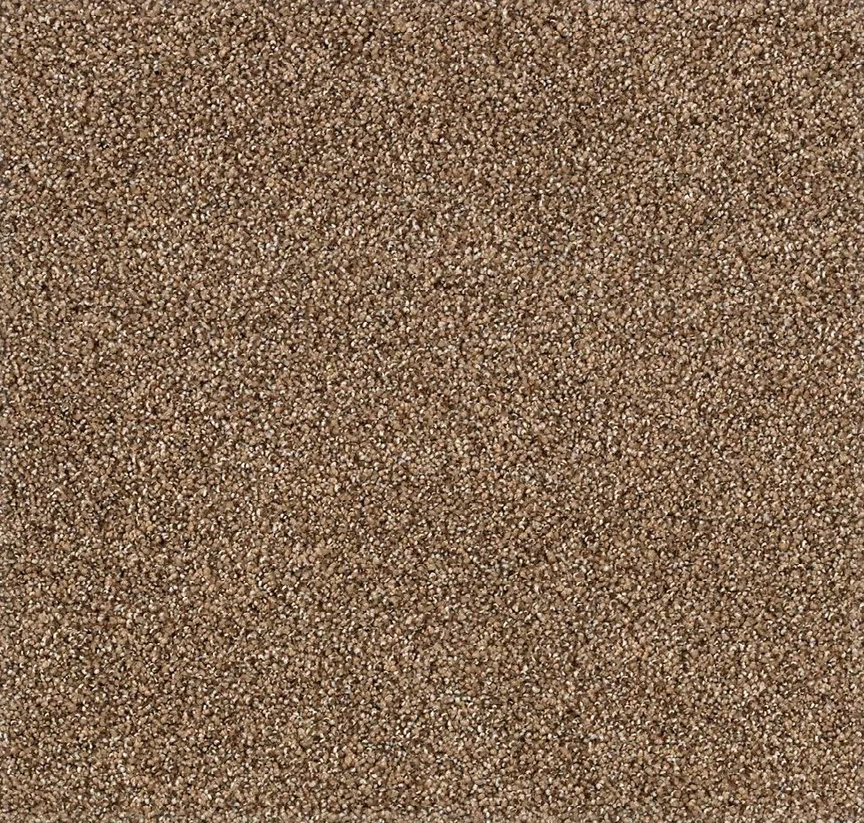 main sample image of Saddle Tranquil Shades