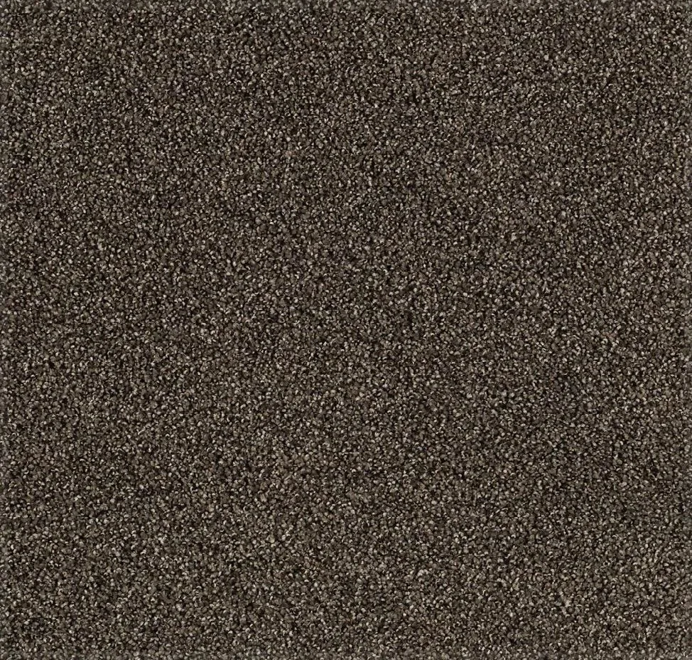 main sample image of Wrought Iron Tranquil Shades