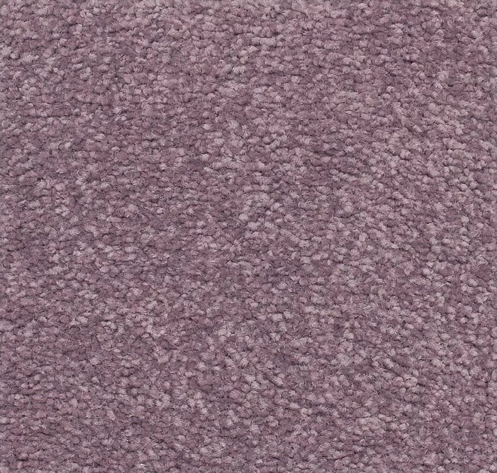 main sample image of Viola True Admiration