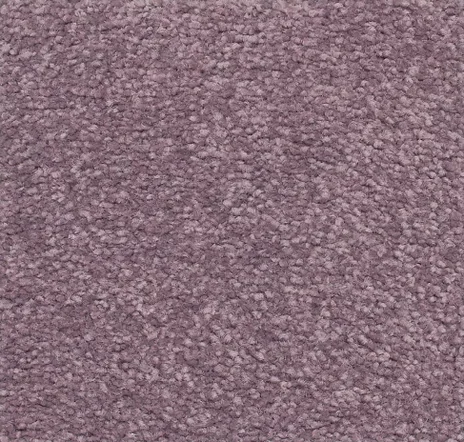 main sample image of Viola True Admiration