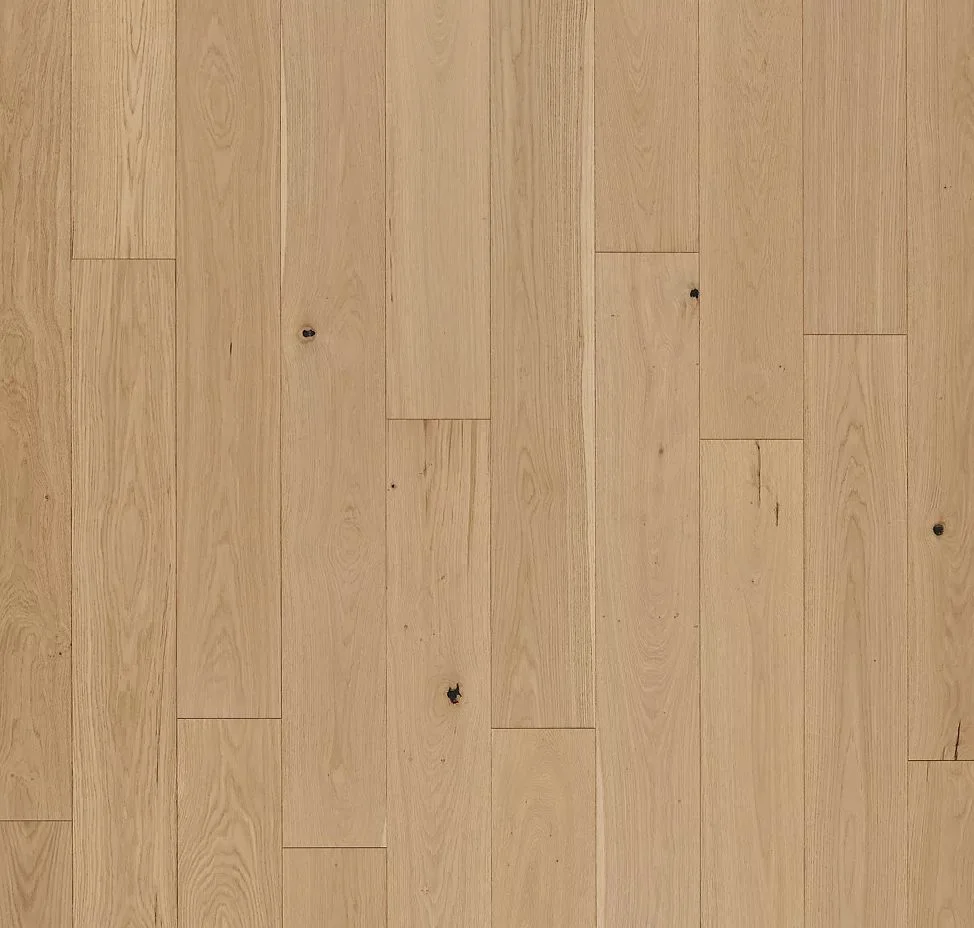 main sample image of Champagne Oak Collington